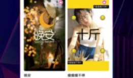字幕网视频,揭秘XX领域的惊人真相