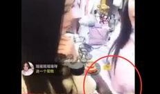 撕书视频,一场关于知识价值的激烈碰撞