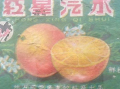 五羊牌广告视频,探寻羊城传奇，见证品牌辉煌