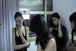 哪个网站可以看成人视频,带你探索虚拟世界的激情与诱惑