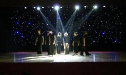 舞蹈视频男女,男女共舞演绎浪漫旋律