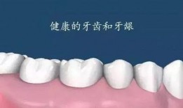 洗牙视频全过程,从准备到结束的全方位体验