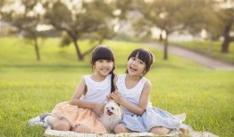 双胞胎乐乐媃媃视频,双胞胎姐妹乐乐媃媃的欢乐成长瞬间