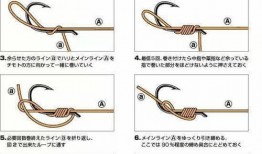 钓鱼绑钩视频,视频解析绑钩技巧全解析