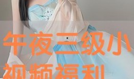 午夜小视频在线,揭秘夜幕下的网络奇观