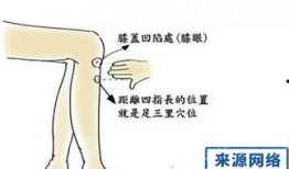 足三里按摩方法视频,轻松缓解疲劳，增强体质