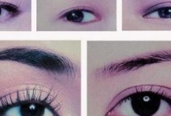 绣眉视频在线观看全集