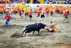 最残忍的斗牛伤人视频,最残忍斗牛伤人事件全程回顾