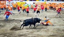 最残忍的斗牛伤人视频,最残忍斗牛伤人事件全程回顾