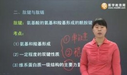 针灸学讲座视频,揭秘传统中医的神奇疗法