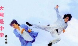 梁小龙连环腿视频,一招制胜的武术传奇