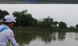 专杀黑坑钓鱼配方视频,专杀黑坑配方视频全解析