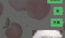 流氓按摩的视频,真相与警示