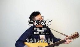 当你老了吉他教学视频,跟随当你老了教学视频轻松学会经典曲目
