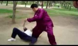 擒拿手教学视频