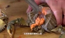鳖怎么杀视频,鳖的宰杀与处理步骤详解