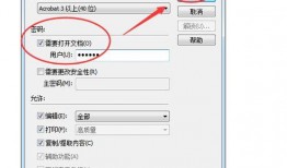 稚颜2视频解压密码,解锁视频背后的神秘解压密码