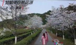 桃花源在线视频