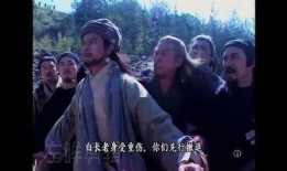 乔峰杏子林视频,探寻武侠世界中的田园诗篇