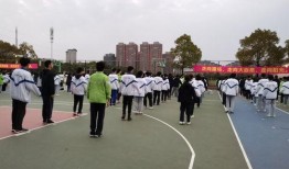 事件的相互独立性视频,探索相互独立的视频世界