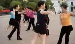 舞蹈视频男女,男女共舞演绎浪漫旋律