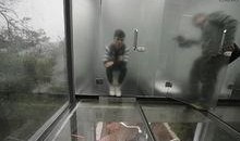 在线观看沟厕视频,网络监管与道德边界探讨