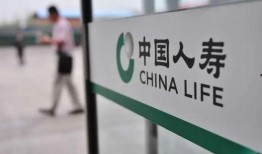 中国人寿抓钱舞视频,活力四溢的财富盛宴