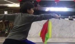 武术打架视频,视频再现精彩打斗瞬间