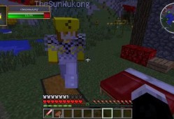 我的世界龙的传人视频,一场跨越次元的奇幻之旅