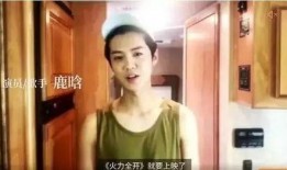 爱丝视频全集,穿越时空的奇幻之旅