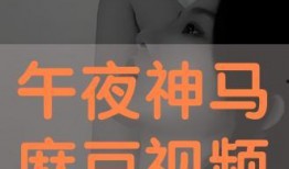 神马免费午夜视频在线,夜幕下的娱乐盛宴