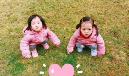双胞胎乐乐媃媃视频,双胞胎姐妹乐乐媃媃的欢乐成长瞬间