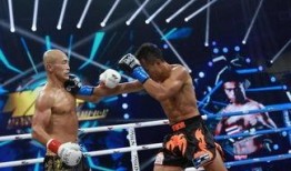 自由搏击视频,自由搏击视频中的精彩对决回顾