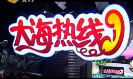 辽宁大海热线全部视频,全景展现海洋魅力与智慧