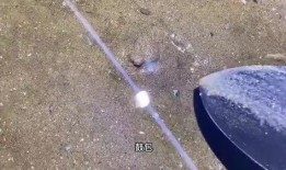 赶海视频小斗,探寻海洋宝藏的欢乐时光