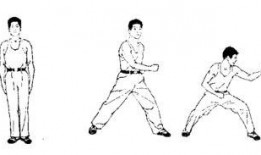 军体拳第一套教学视频,实战技巧与基础动作详解