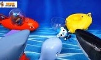 海洋玩具视频
