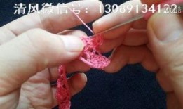 清风雀羽视频全集,穿越时空的奇幻之旅