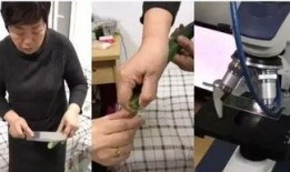 黄瓜视频则么开,揭秘短视频平台的魅力与机遇