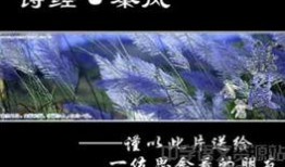 蒹葭表演视频,古典与现代交融的视听盛宴