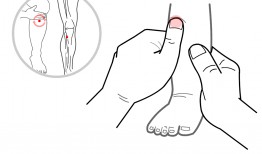 足三里按摩方法视频,轻松缓解疲劳，增强体质