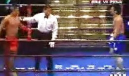 柳海龙与方便大战视频,激战正酣，谁将问鼎武林之巅？