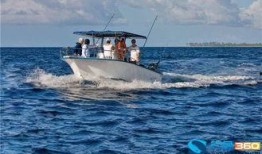 海钓浮钓教学视频,跟随教学视频轻松掌握