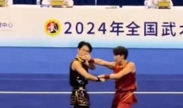 武术打架视频,视频再现精彩打斗瞬间