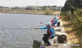 专杀黑坑钓鱼配方视频,专杀黑坑配方视频全解析