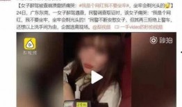 东莞新三十六式视频,探寻传统武术与现代活力的完美融合