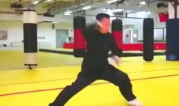 李建文散打视频是真的吗,事实与真相