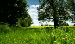 大自然美景视频,捕捉地球之美瞬间