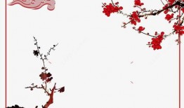 梅花单刀高清教学视频,高清教学视频深度解析