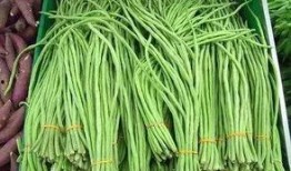 腌制豆角视频教程